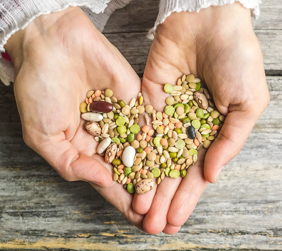 Vertical Closeup Shot Female Hands Holding Mixed Beans (1)